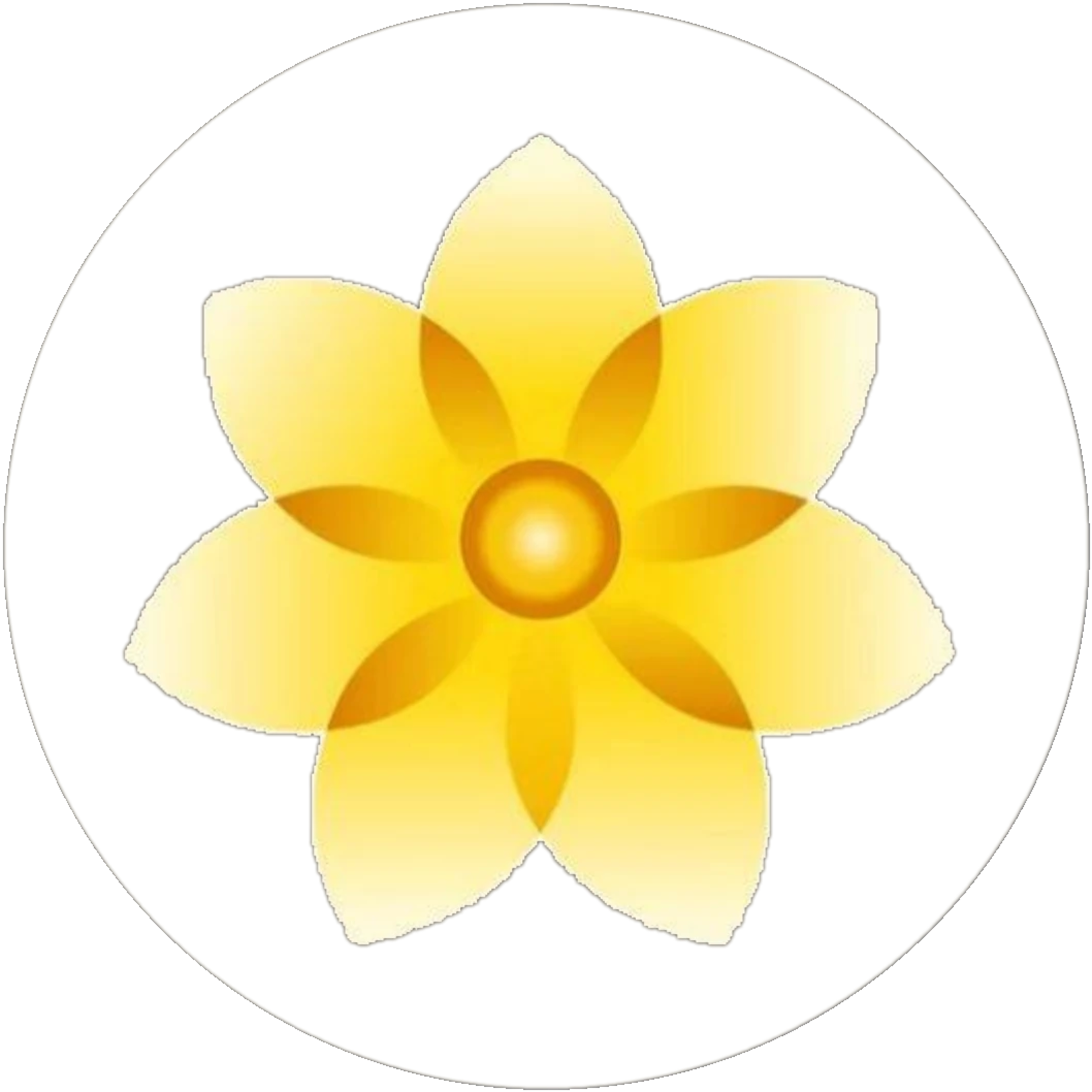 SOHAM mandala mark